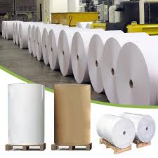 Premium Jumbo Tissue Rolls